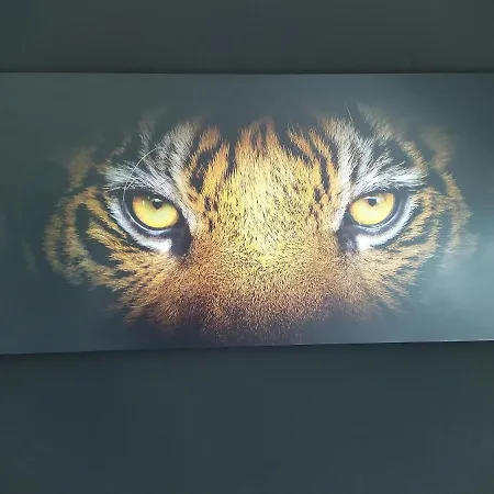 Ferienhof-dachsberg Highlander