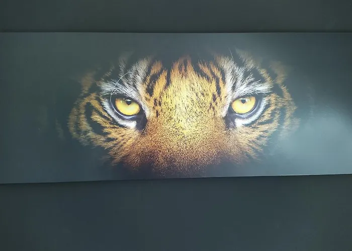 Ferienhof-dachsberg Highlander