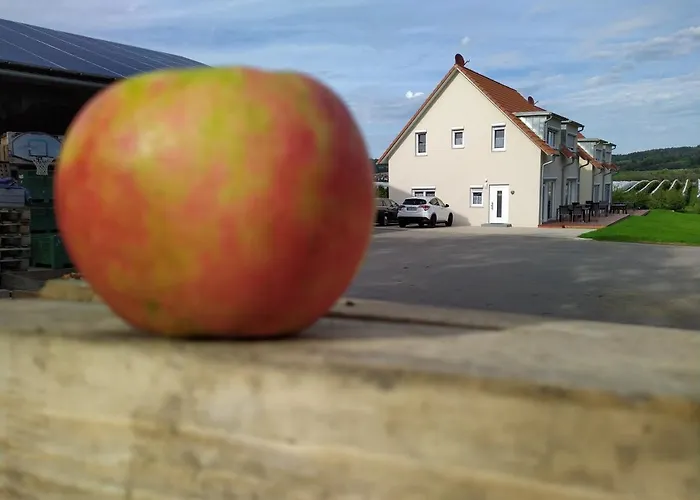 Ferienhof-dachsberg Highlander Bermatingen
